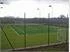 Replacement nets and posts