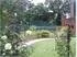 Artificial Garden Grass (Leisure grass)